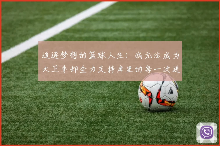 追逐梦想的篮球人生：我无法成为大卫李却全力支持库里的每一次进攻